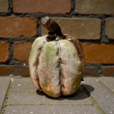 Warm Ember Pumpkin 4x4x5in