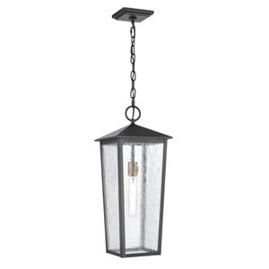Marquis 9'' Wide 1-Light Outdoor Pendant - Matte Black 1