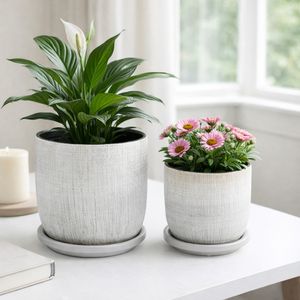 PEARLFIELD SET OF 2 SILVER PLANTER 6 (IN) 10