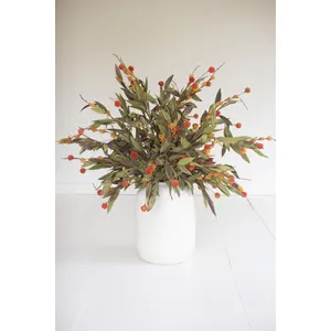 Botanica #2818 2