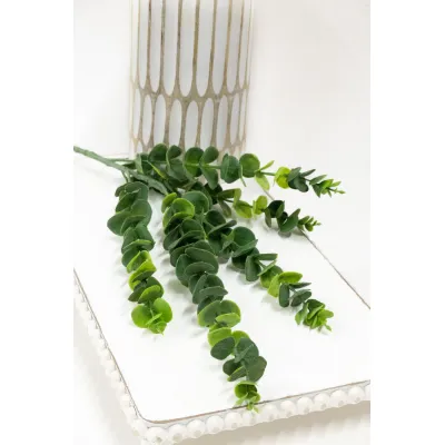 Eucalyptus 32in