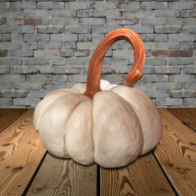 white Pearl Pumpkin 13x13x13in