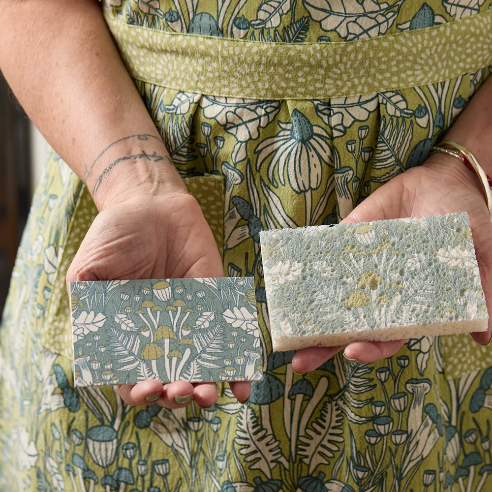 Wynn Pop-Up Sponge Set 3