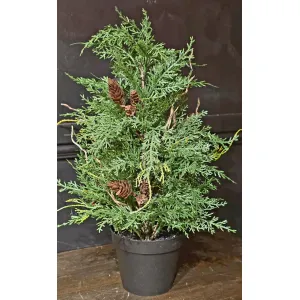 Nordic Pine 20in 1
