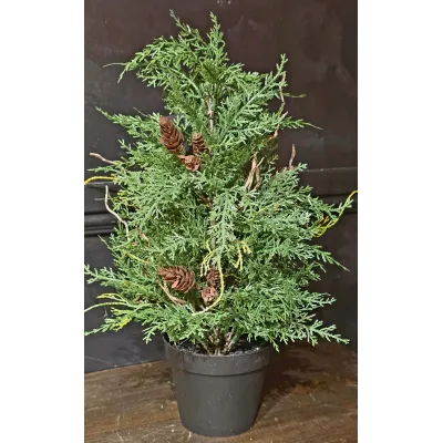 Nordic Pine 20in