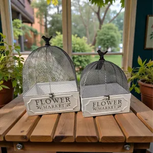 Bloomhouse Dome Lanterns Set of 2 18in and 14inH 2