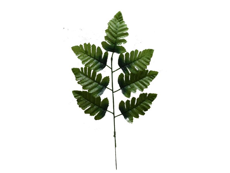Leather Leaf Spray 1