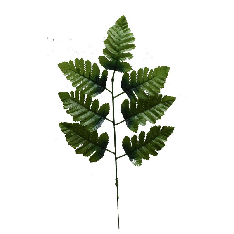 Leather Leaf Spray