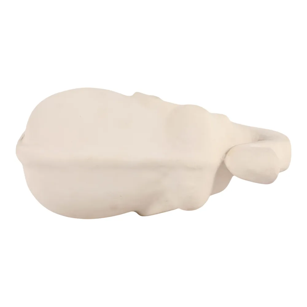 AVAVIEW IVORY DECOR 12 (IN)