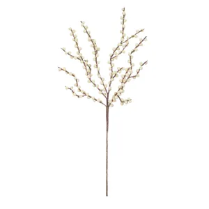 Botanica #2290 4