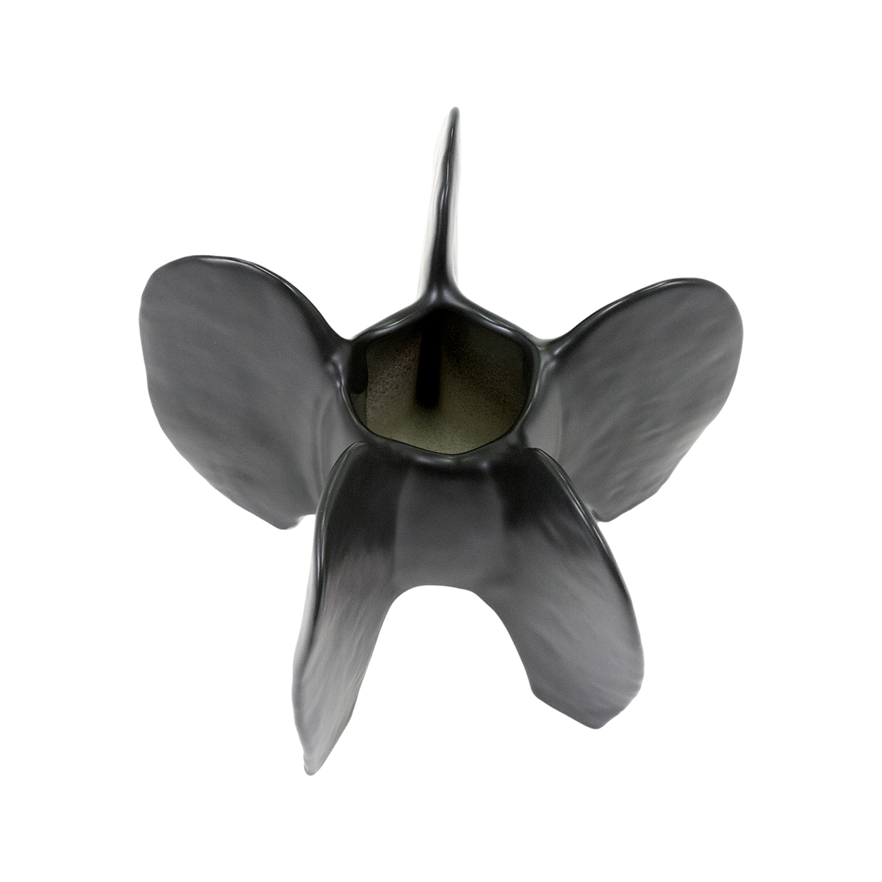 Eunoia Black Vase 6