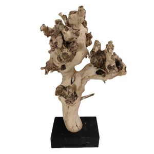 21-1/2" DRIFTWOOD CORAL ON STAND 1
