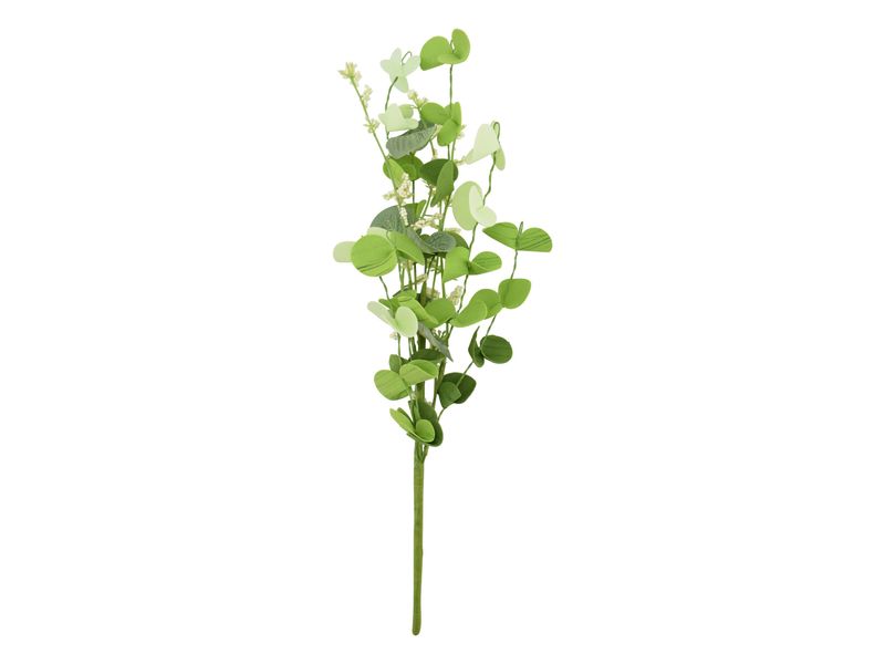 14" Eucalyptus Mint Pick 1