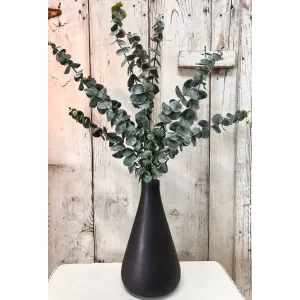 Baby Blue Eucalyptus 22in 3