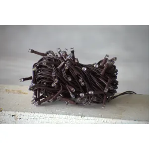 20 Bulb LED String Lights 5ft Brown Cord - Steady On 4