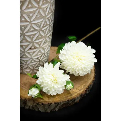 White Daliahs 32in