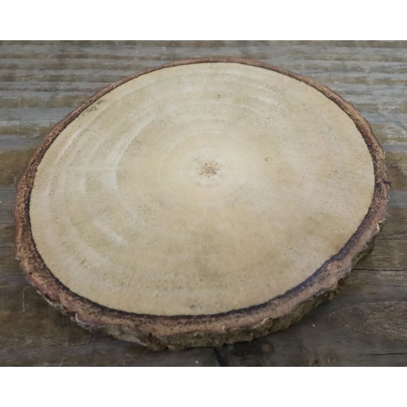 12" Natural Wood Slice