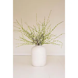 Botanica #3366 2