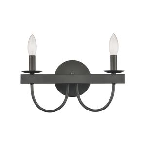 Williamson 14'' Wide 2-Light Vanity Light - Black 3