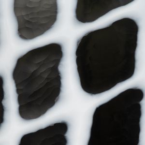 ALMABURN BLACK GLASS VASE 18 (IN) 5