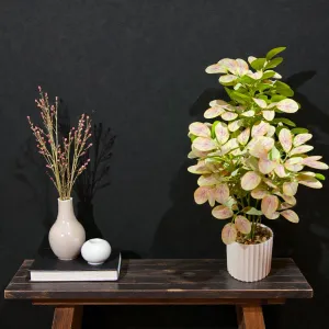 Modern Meadow Pot 19in 1