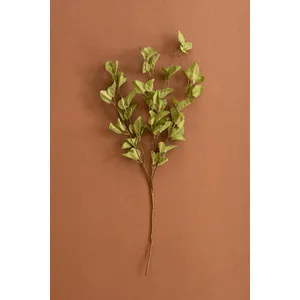 botanica #9035 4