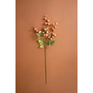 Botanica #3697 1