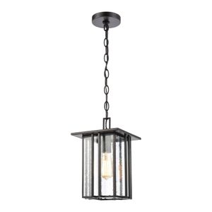 Radnor 8'' Wide 1-Light Outdoor Pendant - Matte Black 1