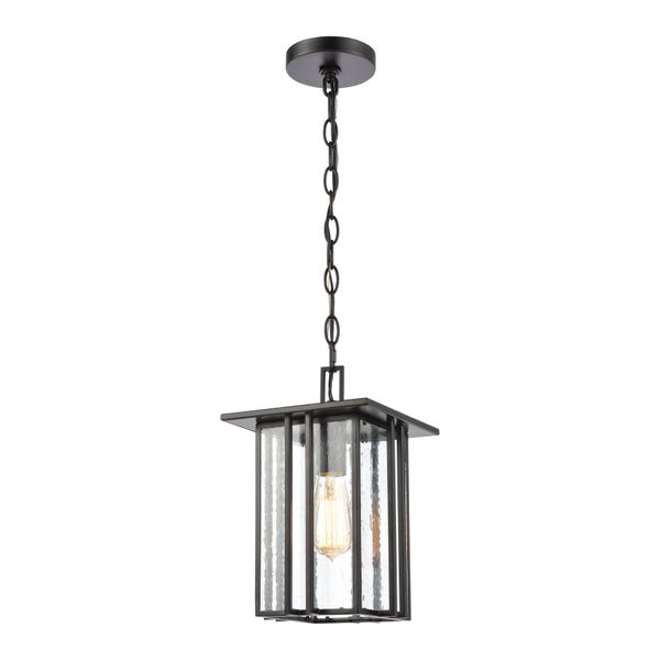 Radnor 8'' Wide 1-Light Outdoor Pendant - Matte Black