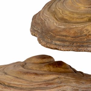 CLEOOAK SET OF 5 TAN WALL SCULPTURES 6 (IN) 5