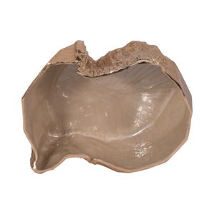 CHLOEWAY GOLD BOWL 8 (IN) 6