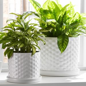 DECKERFORD SET OF 2 WHITE PLANTER 10 (IN) 11