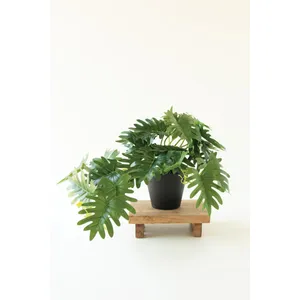 Artificial Mini Philodendron in a Black Plastic Pot 1