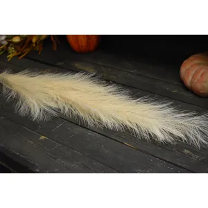 White Pampas with 19 stems 48in 1
