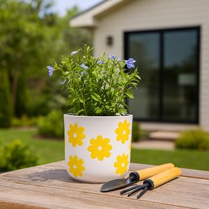 BELDENTON WHITE PLANTER 6 (IN) 2