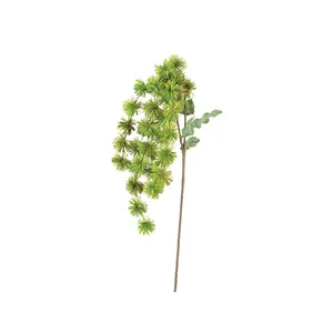 Botanica #3323 1
