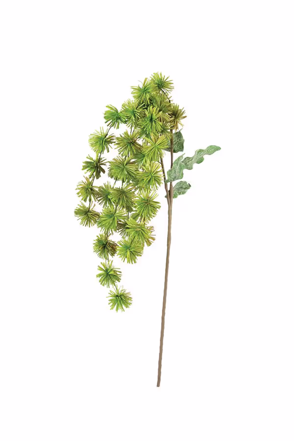 Botanica #3323