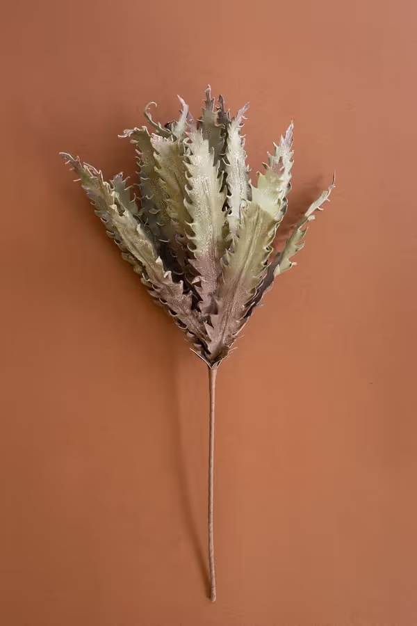 botanica #3658