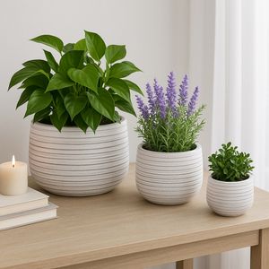 RAYMONDHAVEN SET OF 3 WHITE PLANTER 9 (IN) 11