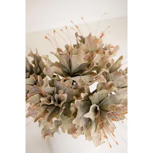 Botanica #2848 3