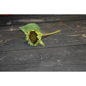 Sunflower Stem 7in 2