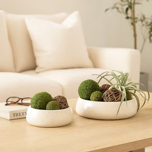 HOLLISHOLM SET OF 2 WHITE BOWLS 4 (IN) 9