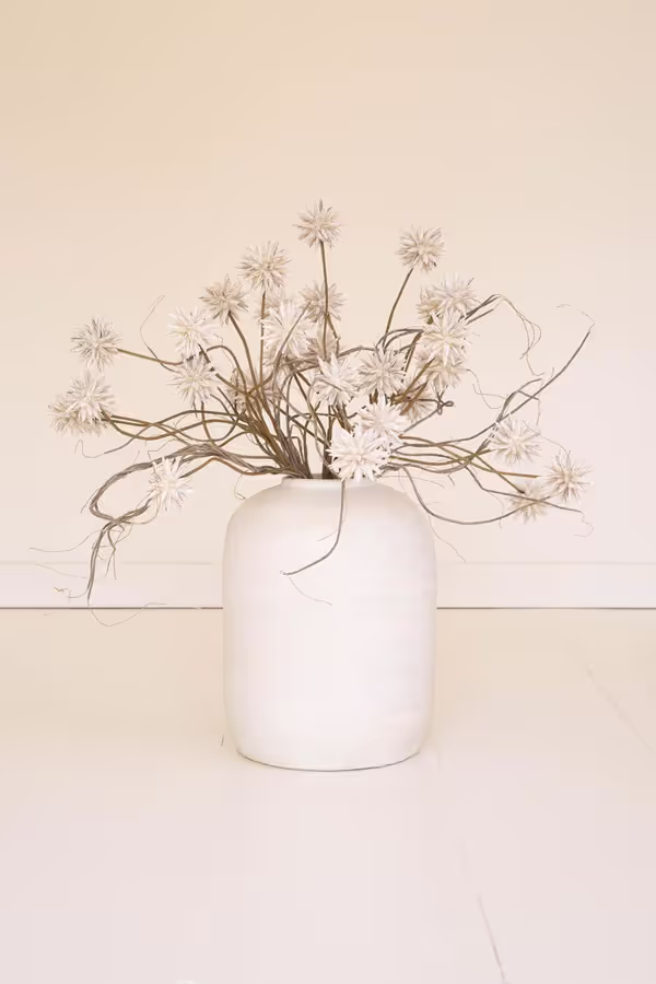 Botanica #2443