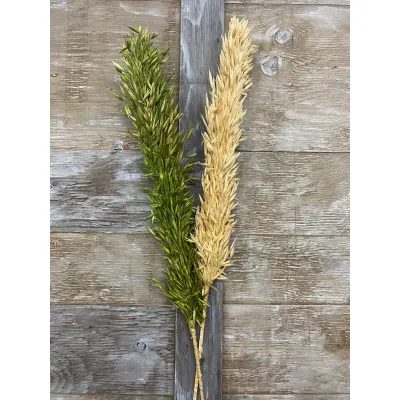 Green Avana Grass 39in