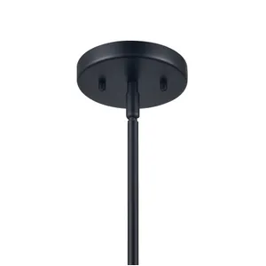 Somerville 12'' Wide 1-Light Pendant - Matte Black 5