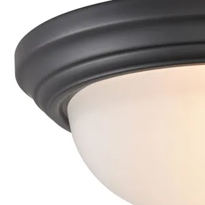 Helena 13'' Wide 2-Light Flush Mount - Black 3