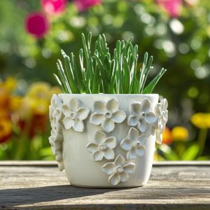 ELWINCROSS IVORY PLANTER 6 (IN) 2