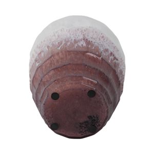 BRAMHOLM PINK GLASS VASE 12 (IN) 8