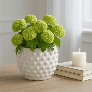 BLAIRPARK WHITE PLANTER 5 (IN) 9