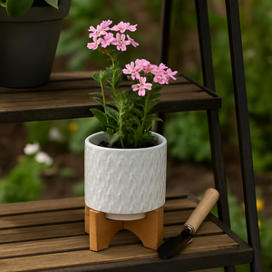 DOYLETON WHITE PLANTER 8 (IN) 13
